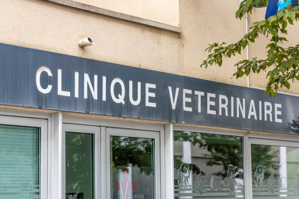 clinique vétérinaire urgence Rouen